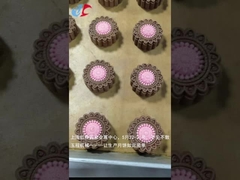 Le Mooncake automatique encroûtant usinent l'équipement chinois de Mooncake